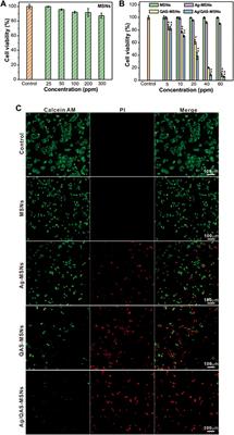 One-Pot Synthesis of Ag/Quaternary Ammonium Salt Co-Decorated Mesoporous Silica Nanoparticles for Synergistic Treatment of Cancer and Bacterial Infections